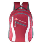 Swiss Military LAPTOP BACKPACK LBP86