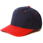 Dual Tone Unisex Cap