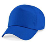 5 Panel Cap