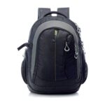 Skybags Fox Business Laptop Backpack