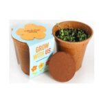 Seed Paper Grow Kits