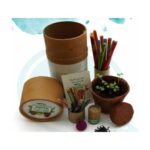 Plantable Grow kit BG35